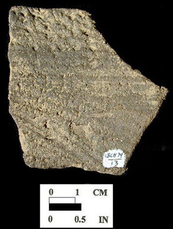 Popes Creek rim sherd with scored interior surface, from Chapel Point site 18CH79/13.